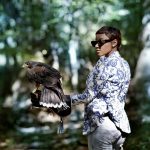 Falconry excursions